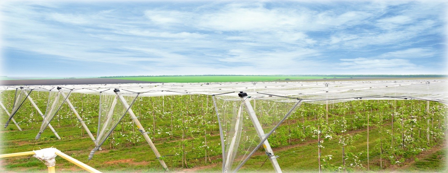 land
