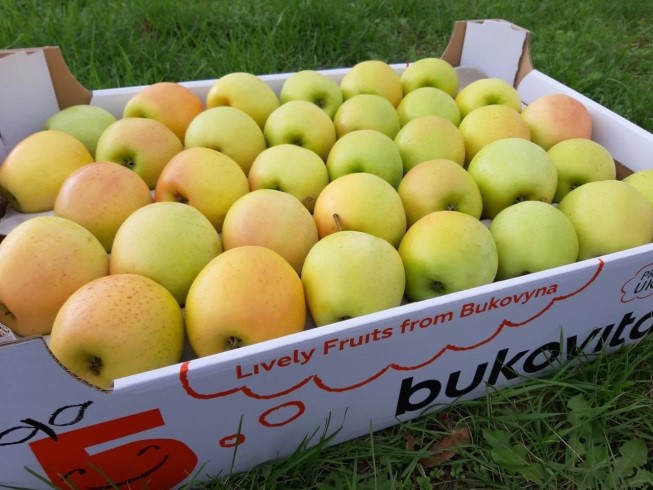 Golden Delicious: 2 layer